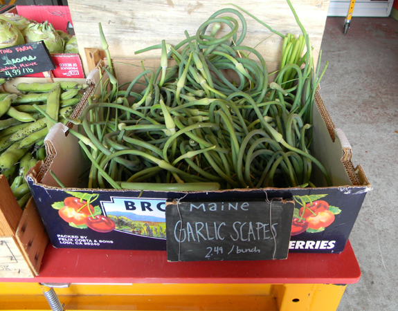 Portland garlic scapes II