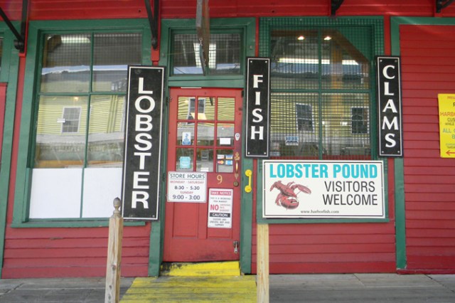 Portland Harbor Fish II