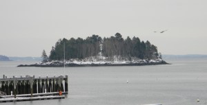 Snowy Camden Island X