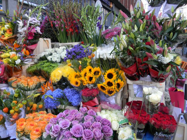 Flowers_Dublin