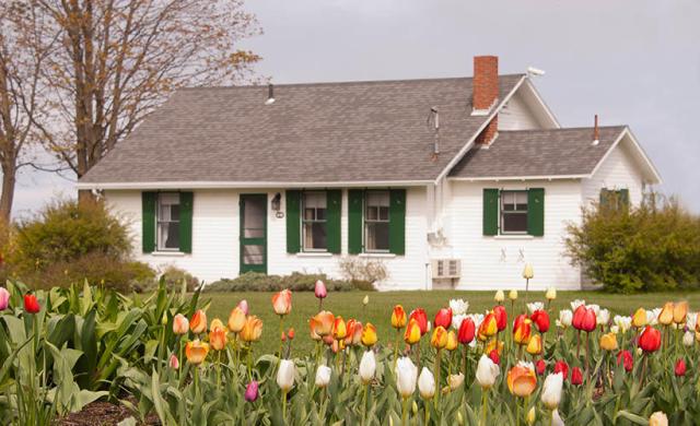 ext-2_gallery_image-1