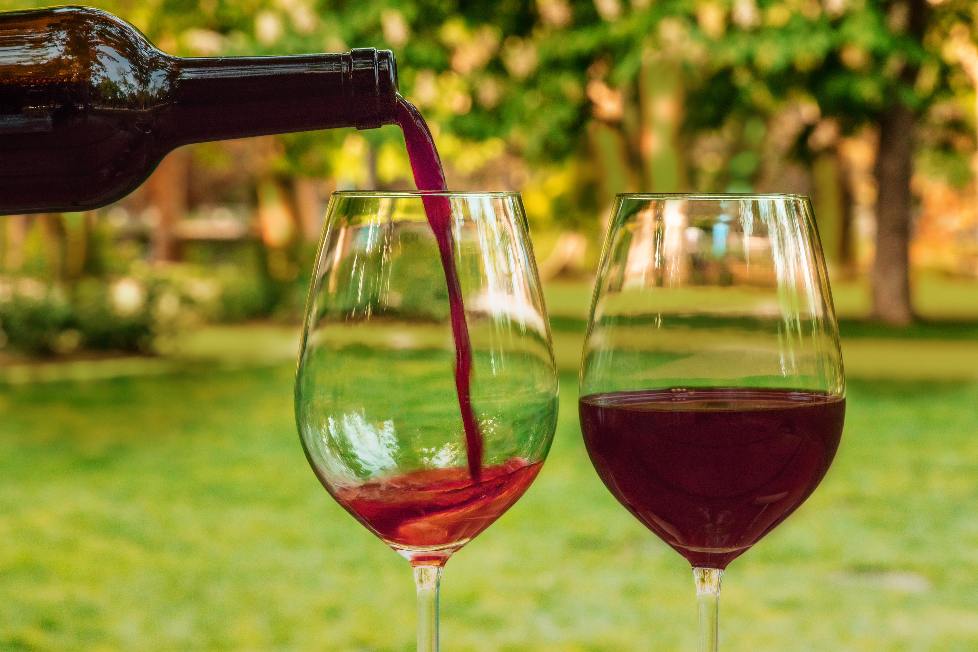 Red wine poured into glass at picnic, with copyspace